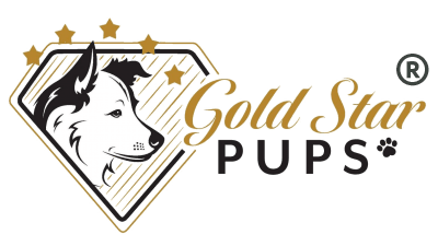 Gold Star Pups LLC